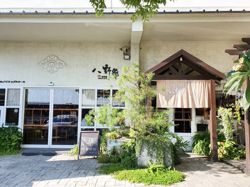 【嘉義網美店】八野爺土鳳梨酥 走進歐洲莊園 荷蘭大風車 被泰迪熊包圍的夢幻世界