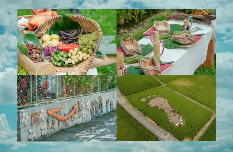 花蓮瑞穗 2019縱谷原遊會Ｘ魔王 餐桌上的部落旅型行 在大腳印裡品嚐織羅部落米86在地文化美食 農事體驗 米彩繪  花蓮台鐵瑞穗站 內文有活動資訊