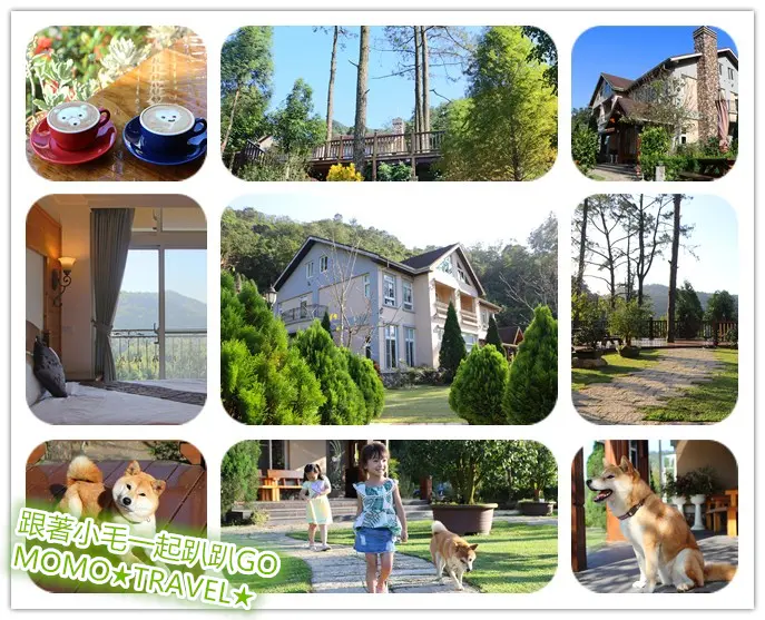 新竹住宿-山水屋 北埔老街旁空靈級景觀民宿丨還有可愛柴犬管家為你帶路