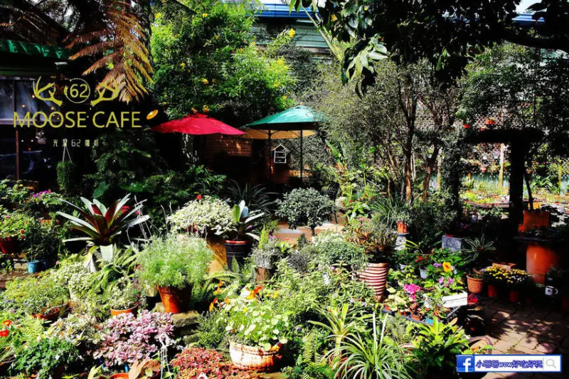 【食。中壢】光源62咖啡〜桃園中壢庭院餐廳。城市裡的小花園，宛如花店般的咖啡館，每個角落都好拍
