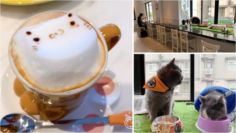 The Who Cafe 框影永康店｜網美咖啡店｜貓奴必訪｜萌系咖啡廳｜附菜單