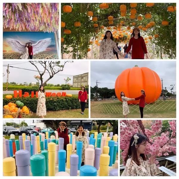 2019觀音萬聖南瓜節│觀音最新四大美拍場景│向陽農場│ㄚ昌伯美食屋│桃園觀音美食一日遊