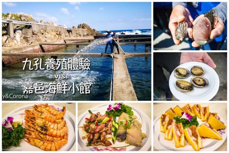 【新北市景點】貢寮景點｜九孔養殖體驗｜嘉邑海鮮小館～餵食九孔體驗、品嚐炙燒九孔，澳底大啖現流海鮮