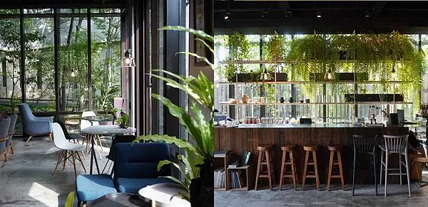 【2020竹北下午茶推薦】半畝院子（若山茶書院），綠意盎然的城市綠洲