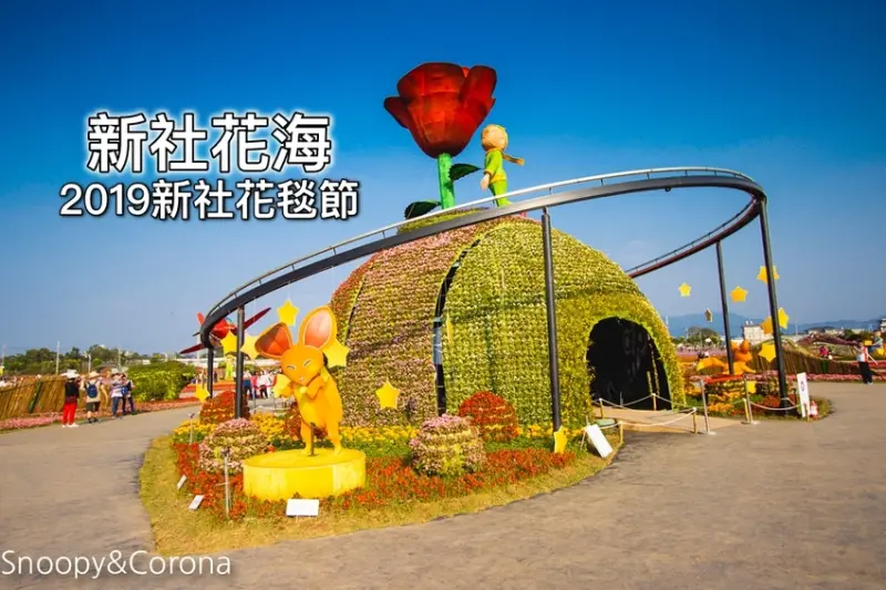 【台中活動】2019新社花海｜小王子主題新社花毯節～活動日期與地點、接駁車資訊