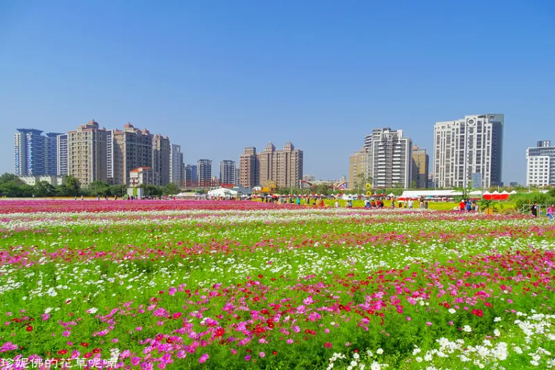 【桃園-中壢區】2019桃園花彩節「花現中壢 花田童樂會」11/16-11/24