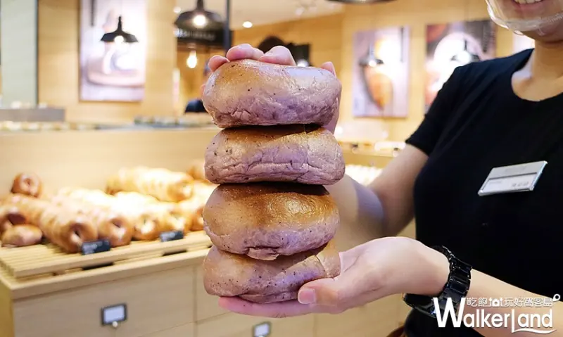 Miopane / WalkerLand窩客島整理提供