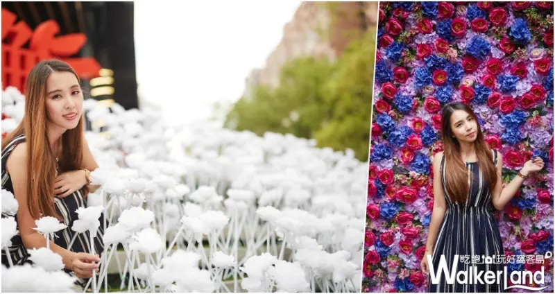 花鮨/ WalkerLand窩客島整理提供