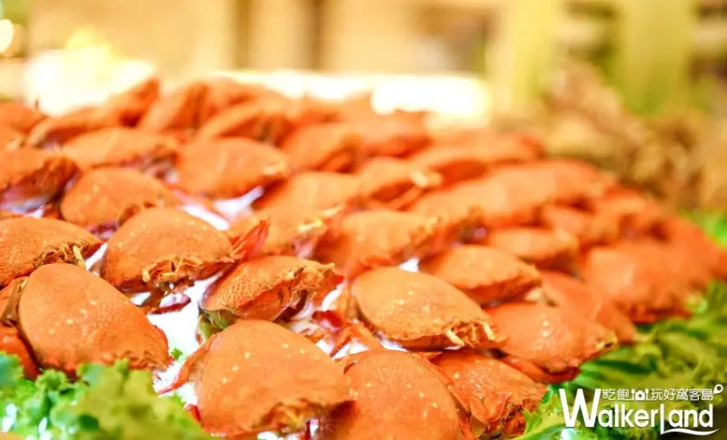 森林百匯 / WalkerLand窩客島整理提供