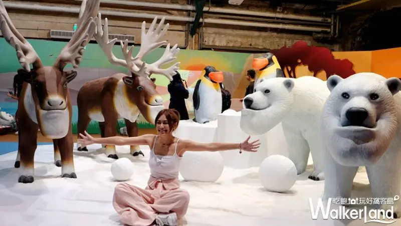 扭蛋星球特展 / WalkerLand窩客島提供