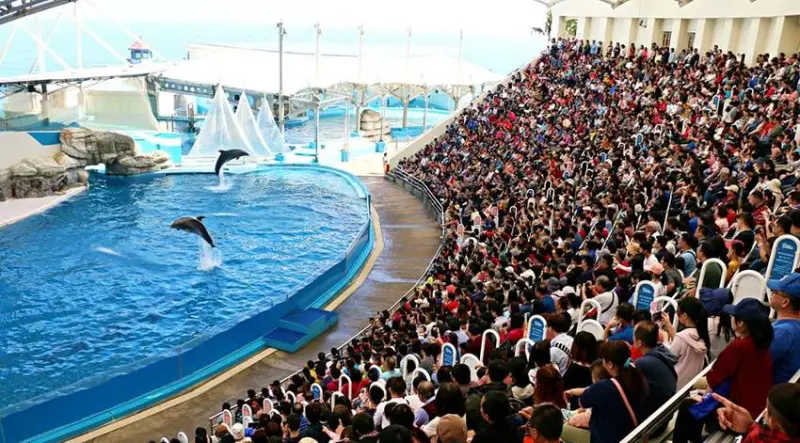 圖片來源：「遠雄海洋公園」官方粉絲團