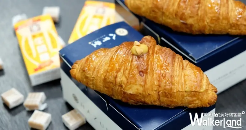 雙11光棍節  / WalkerLand窩客島提供