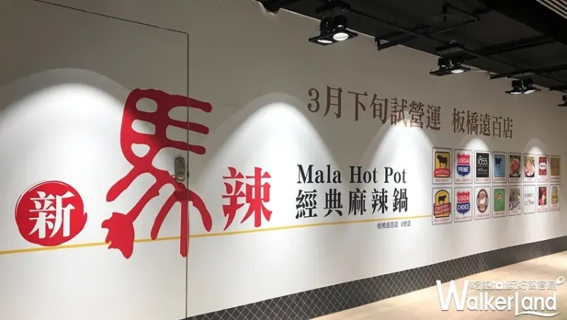 麻辣鍋吃到飽「新馬辣」板橋一號店 / WalkerLand窩客島提供