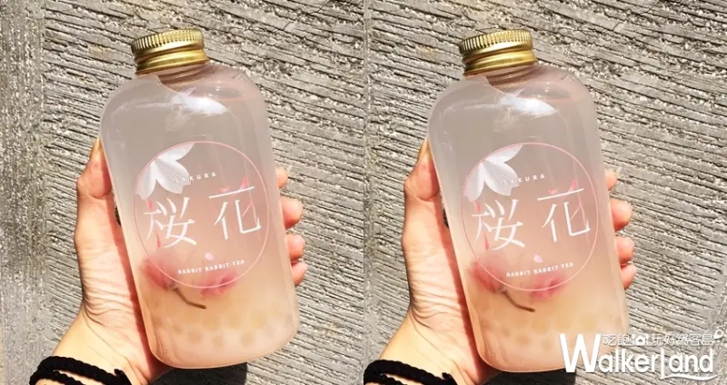 兔子兔子「櫻花飄飄」/ WalkerLand窩客島提供