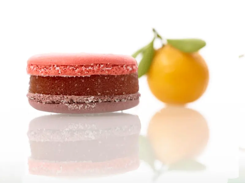 【得獎公告】小茶栽堂新春鉅獻!三羊開泰春節禮盒、馬卡龍軟糖新品登場!