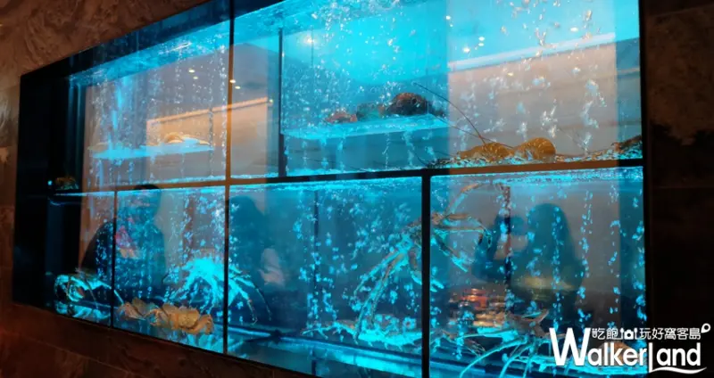 但馬家涮涮鍋二館 / WalkerLand窩客島提供