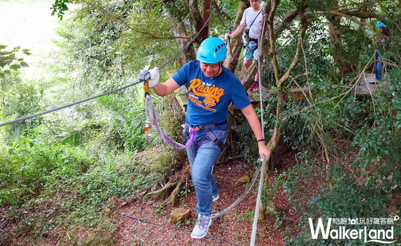 野猴子探險森林