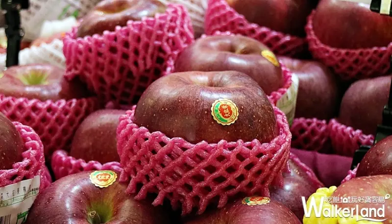 日本弘前展 / WalkerLand窩客島整理提供