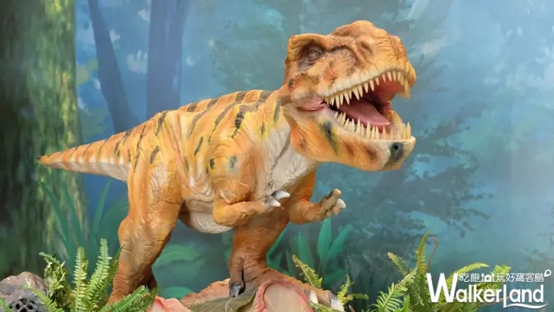 新北市「重返怪獸島」 / WalkerLand窩客島提供