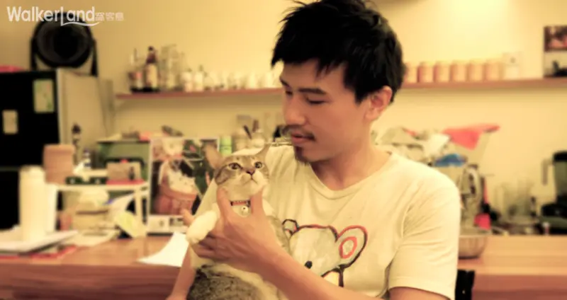 猫ちゃんの友達 十分愛護貓咪的Mars