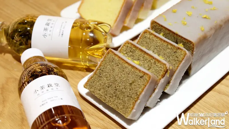 小茶栽堂(永康旗艦店) / WalkerLand窩客島提供
