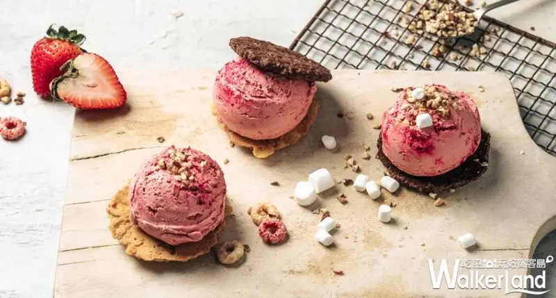 Aunt Stella / WalkerLand窩客島提供