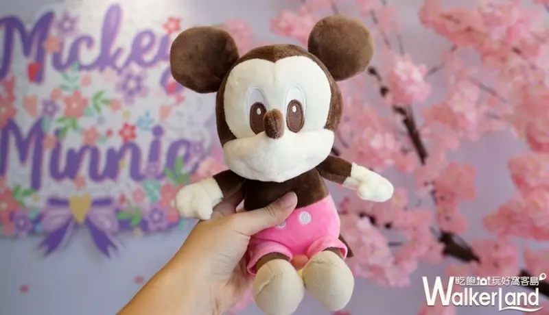 迪士尼櫻花季期間限定店 / WalkerLand窩客島提供