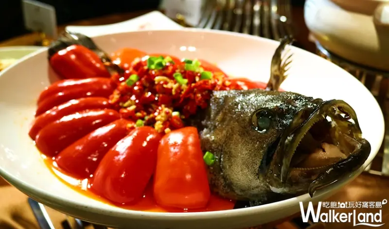 國賓大飯店 / WalkerLand窩客島整理提供