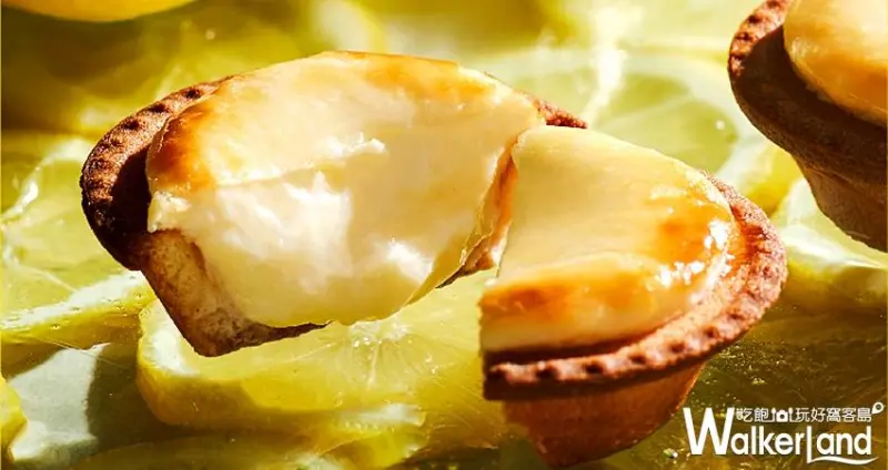 BAKE CHEESE TART瀨戶內蜂蜜檸檬起司塔/ WalkerLand窩客島提供