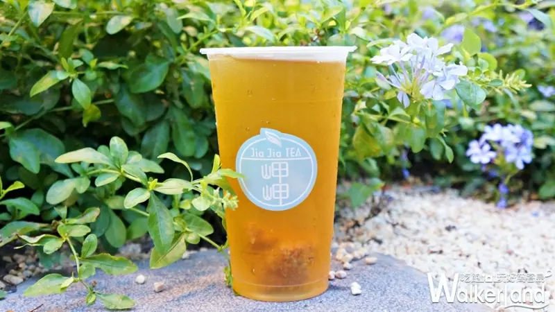 岬岬 / WalkerLand窩客島提供