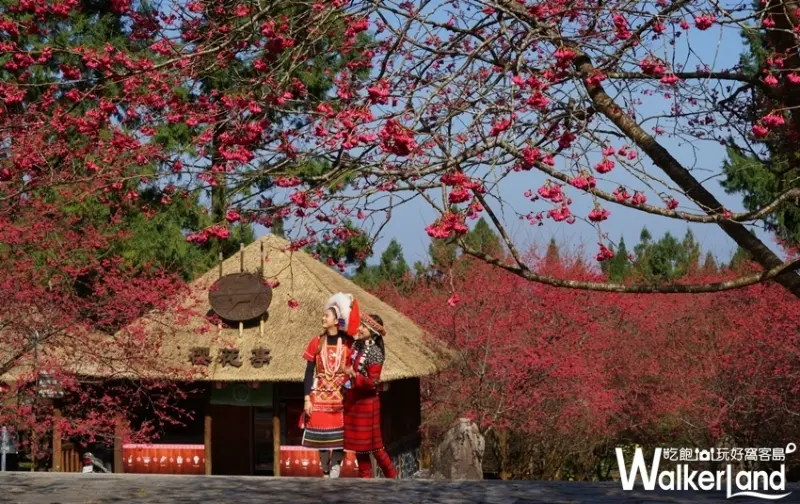 九族文化村 / WalkerLand窩客島提供