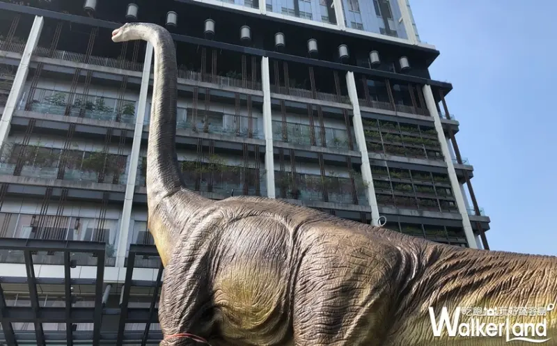 新光三越 / WalkerLand窩客島提供