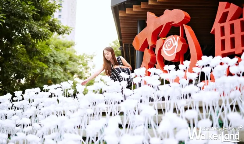 花鮨/ WalkerLand窩客島整理提供