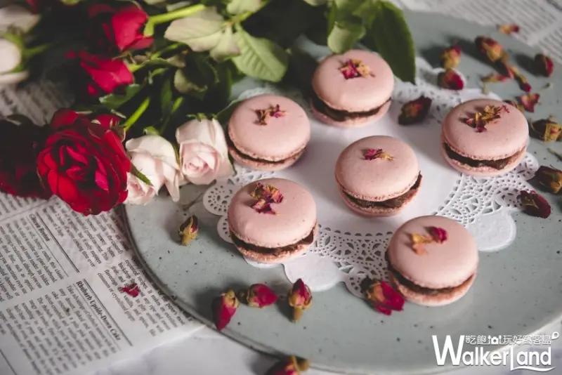 型男主廚施易男