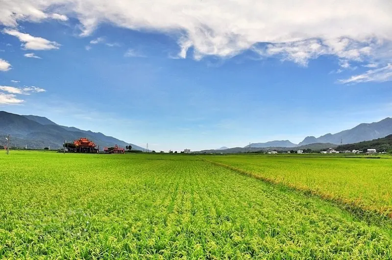 台東景點「大坡池」 /窩客 雲大少爺 提供
