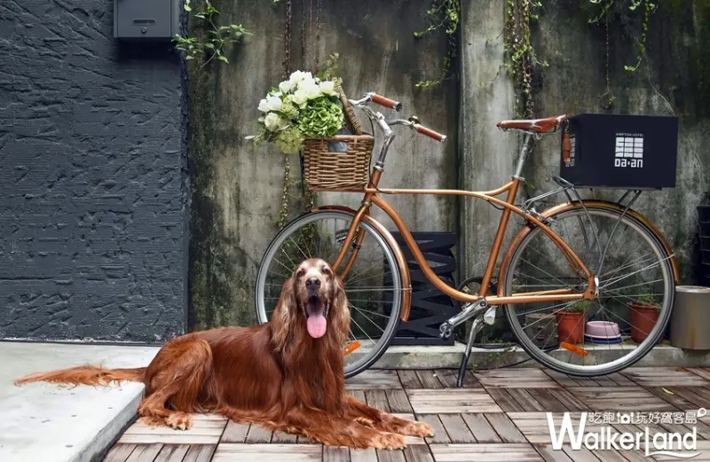 金普頓大安酒店