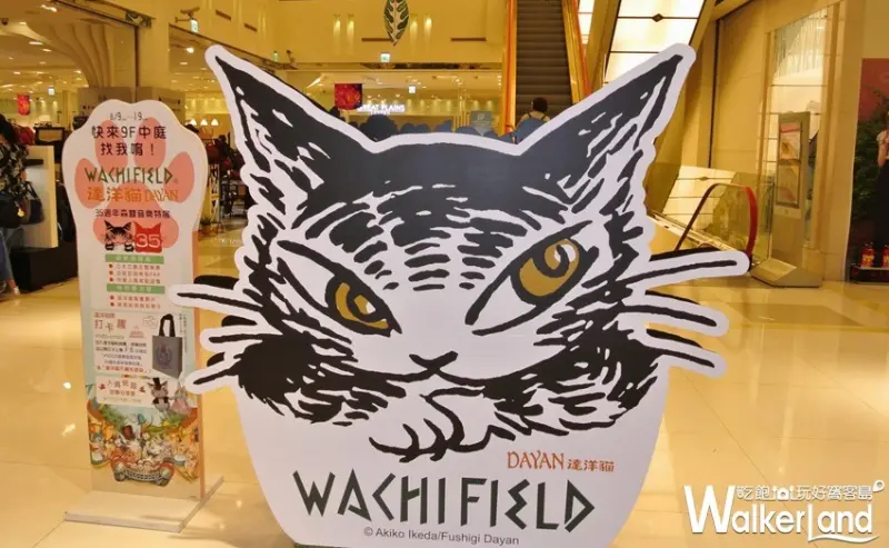 達洋貓35週年森林音樂特展/ WalkerLand窩客島提供