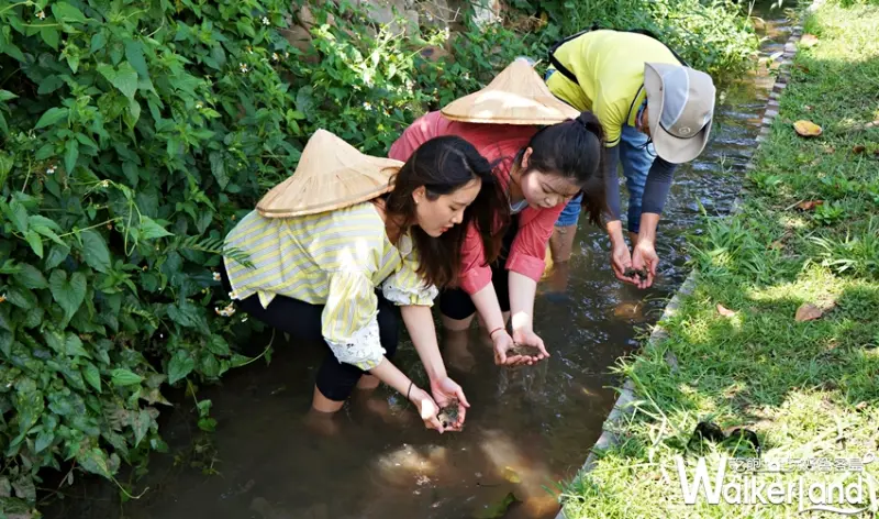  墾丁 / WalkerLand窩客島提供