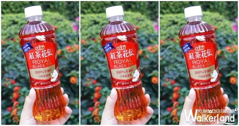 紅茶花伝 / WalkerLand窩客島提供