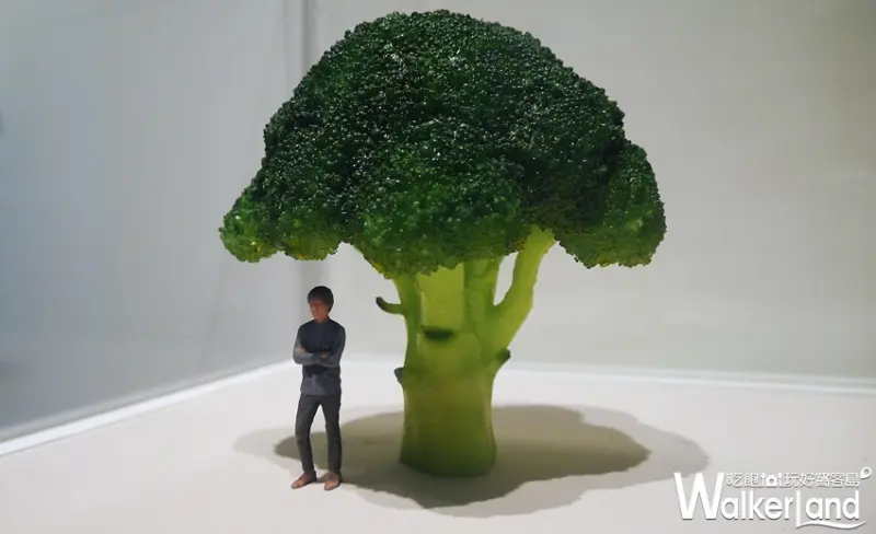 微型展2.0 田中達也的奇幻世界 / WalkerLand窩客島提供
