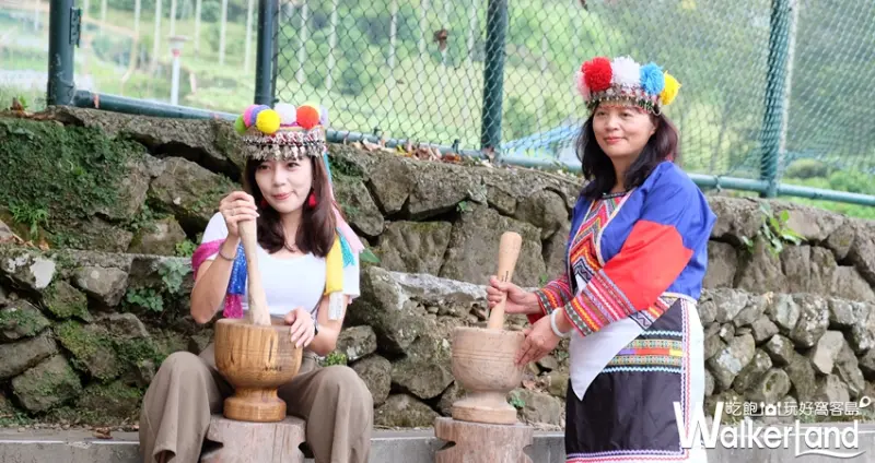 樂野部落 不插電咖啡體驗 / WalkerLand窩客島提供