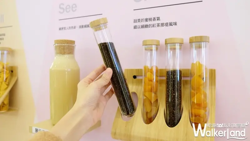 星巴克茶瓦納買一送一 / WalkerLand窩客島提供