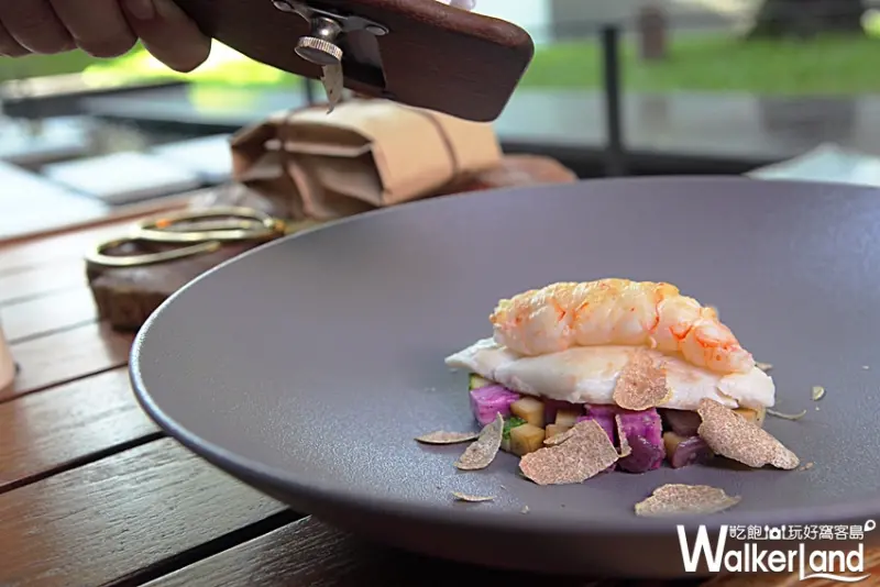 三二行館 白松露 三不思議 / WalkerLand窩客島提供