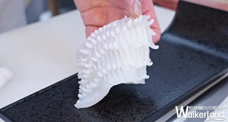 小高玉 / WalkerLand窩客島提供