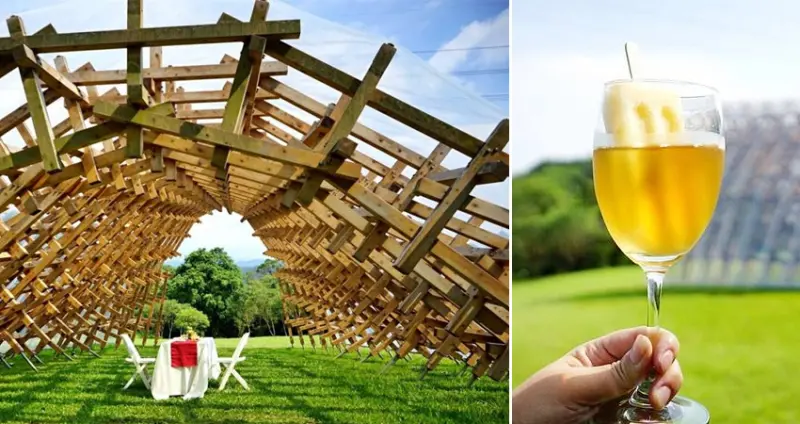 『新竹。旅行』 這個夏天與新竹來一場夏之南園人文美食輕旅行之約吧→柿染文創手作/新埔梨村吃梨子冰沙、水梨披薩/福祥仙人掌植物園療鬱多肉植物DIY/劉家燜雞嚐山中野味/金谷農場環湖美景淨化眼球