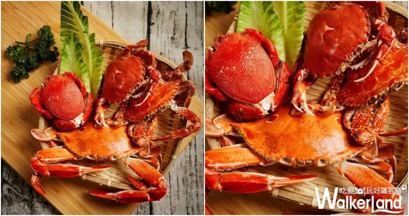 王朝大酒店SUNNY BUFFET