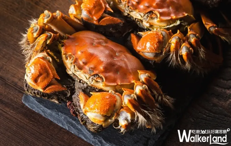 桃園吃到飽「港點大師」 / WalkerLand窩客島提供