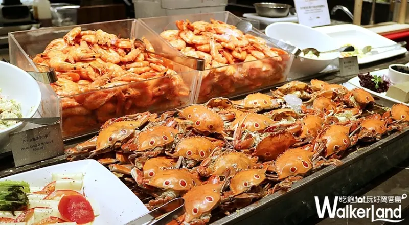 挑戰史上最高CP值吃到飽！漢來海港與義大利傳奇餐廳San Domenico合作推出「米其林二星傳奇在海港」，米其林二星主廚料理讓你吃到飽。