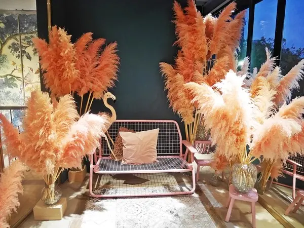 窩客藍鞋子提供 / Mum, Mum 饅饅好食