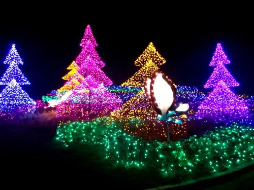 歡度浪漫聖誕節！窩客島教你輕鬆安排聖誕秘境小旅行！